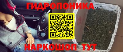 spice Бузулук