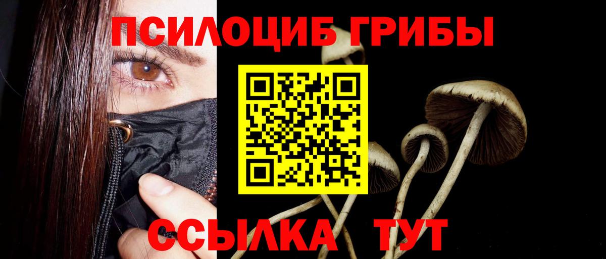 где купить наркоту  Вход с VPN  Нарткала  Галлюциногенные грибы мухоморы 
